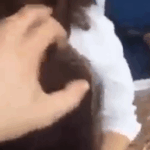 Mom Hitchhiker Gives Me a Blowjob in a Quiet Spot