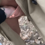 Man puts his hand on woman's pussy